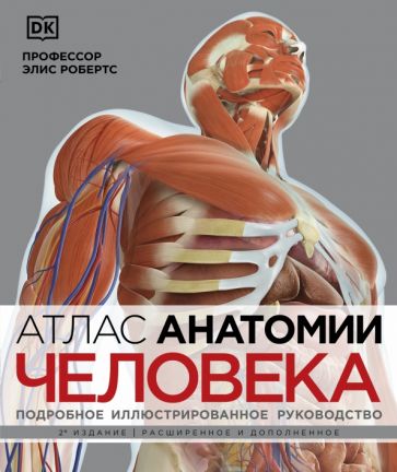 Атлас анатомии человека Подробное иллюстрированное руководство Медицинский атлас Робертс