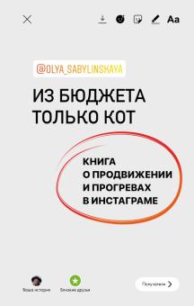 Из бюджета только кот Книга о продвижении и прогревах в инстаграме Бизнес в инстаграме Сабылинская