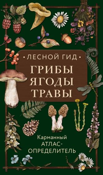 Лесной гид грибы ягоды травы Карманный атлас-определитель С природой наедине Наблюдения и открытия