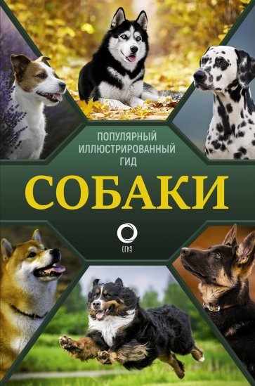 Собаки Популярный иллюстрированный гид Барановская